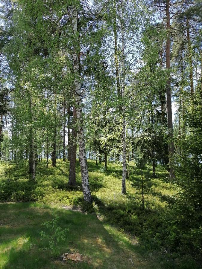 Birgittagarden - Gaesthem - Birgittasystrarna Bed & Breakfast Falun Exterior photo