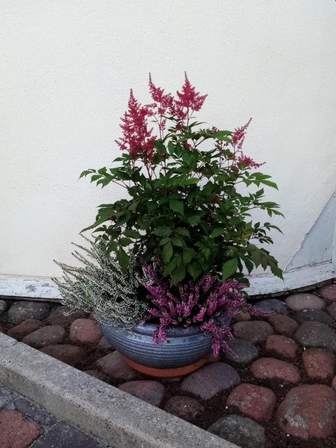 Birgittagarden - Gaesthem - Birgittasystrarna Bed & Breakfast Falun Exterior photo