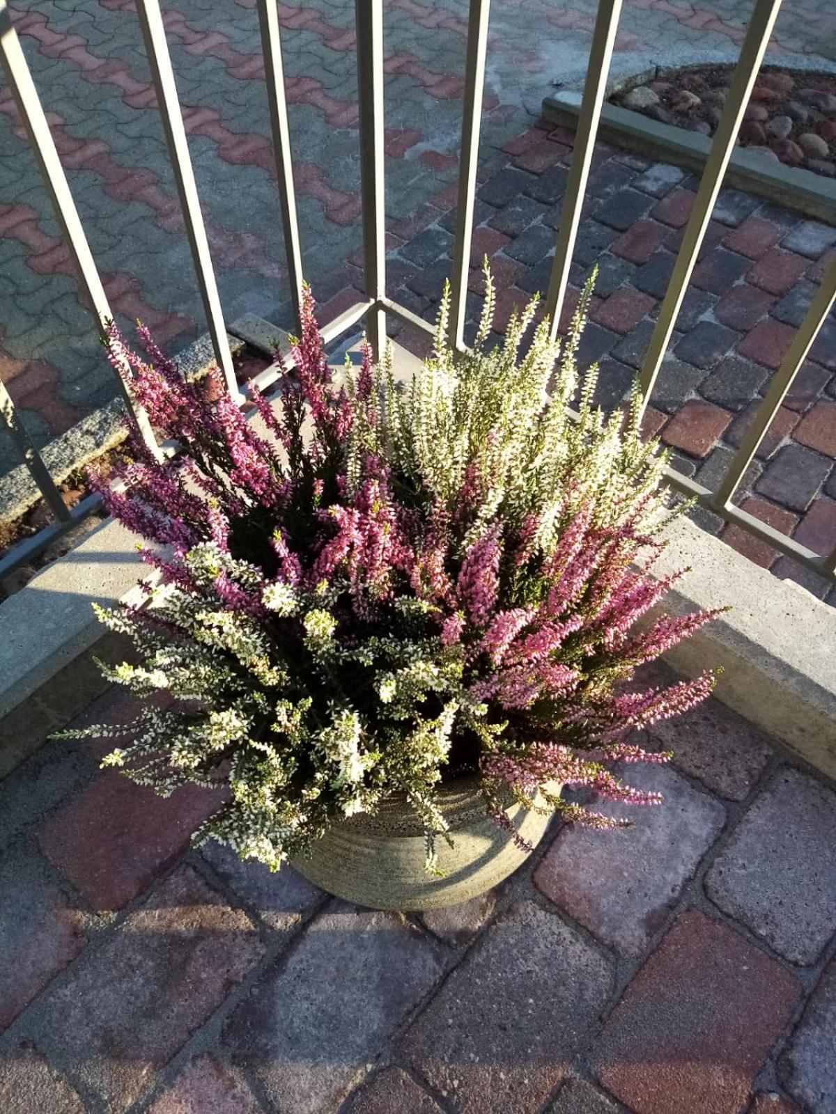 Birgittagarden - Gaesthem - Birgittasystrarna Bed & Breakfast Falun Exterior photo